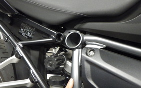 BMW R1250R 2024