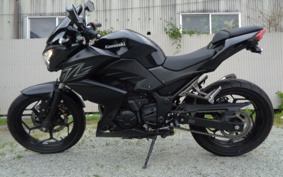 KAWASAKI Z250 ER250C