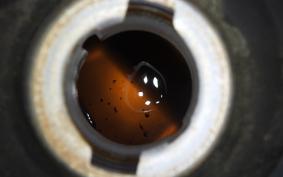 YAMAHA AXIS 125 TREET 2024 SE53J