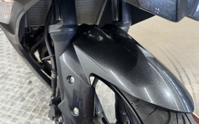 KAWASAKI NINJA 250 EX250L