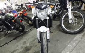 YAMAHA FZ1 FAZER 2010 RN21J
