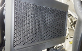 HONDA REBEL 250 2025 MC49