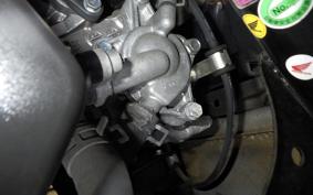 HONDA TACT Basket AF79