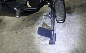 HARLEY RH975 2022