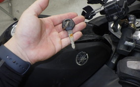 YAMAHA YZF-R25 2013 RG10J