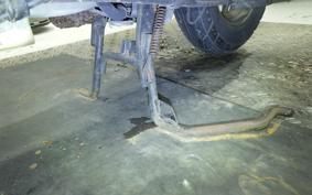 SUZUKI ADDRESS V100 CE13A