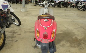 HONDA GIORNO CREA AF54