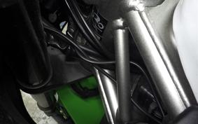 KAWASAKI ZX-4RR 2023 ZX400P