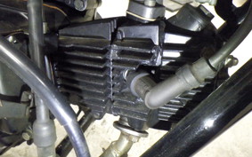 HONDA MAGNA 50 2024 AC13