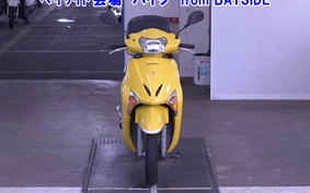 OTHER  LEAD 110EX