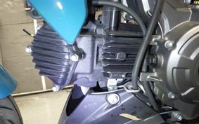 KAWASAKI Z125 PRO BR125H