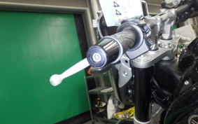 YAMAHA FZ1 FAZER 2012 RN21J