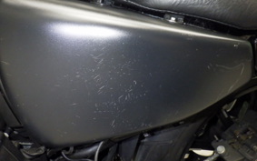 HARLEY XL883N 2016