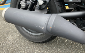 HONDA  REBEL 250 ABS MC49