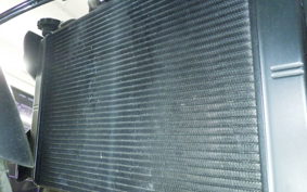 TRIUMPH TRIDENT 660 2025