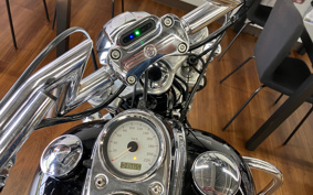 HARLEY FXDL1580 2009 GN4