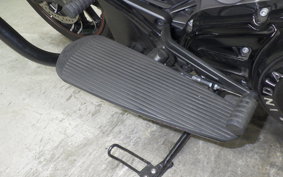 INDIAN CHALLENGE ャー DARK 2021