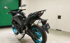 YAMAHA MT-25 A 2008 RG74J