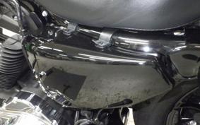 HARLEY XL1200XS 2020
