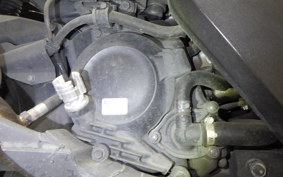 HONDA FORZA 250 2006 MF13