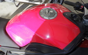 OTHER +ﾒｶﾞﾘ250R