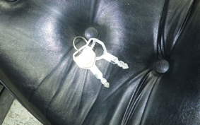 HONDA STEED 600 1995 PC21