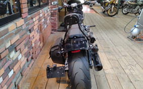 HARLEY FXBRS 2021 YHK