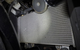 KAWASAKI NINJA 250 EX250L