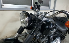 HARLEY  HARLEY FLSTFB 2010 JN5