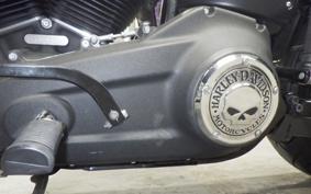 HARLEY FXBB1750 2018