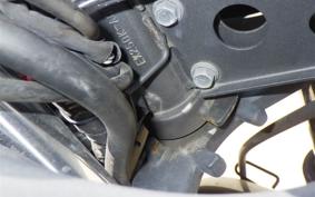 KAWASAKI NINJA 250R 2024 EX250K