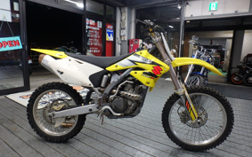 SUZUKI RM-Z250 KX250