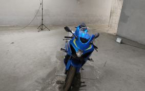 SUZUKI GSX-R1000 2019 DM11A