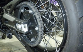 TRIUMPH TIGER 900 RALLY PRO 2023