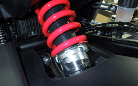 TRIUMPH DAYTONA 660 2024