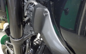 KAWASAKI Z900RS 2019 ZR900C