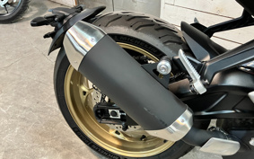 TRIUMPH TRIDENT 800 2026 L24P40