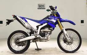 YAMAHA WR250R 2022 DG15J