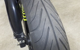 KAWASAKI KLX250D TRACKER X 2025 LX250V