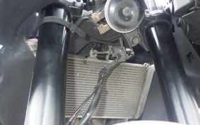 YAMAHA YZF R-3 2021 RH13J