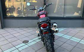 TRIUMPH SCRAMBLER 2022 DAD78G
