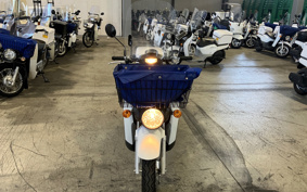 HONDA  BENLY  PRO  AA05