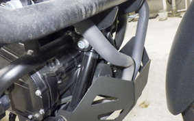 SUZUKI Vｽﾄﾛｰﾑ250A 2022