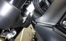 DUCATI SCRAMBLER ICON 2021