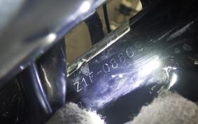 KAWASAKI Z900 2024 Z1F