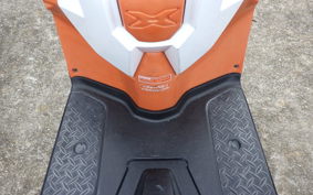 HONDA ZOOMER-X