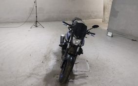YAMAHA MT-25 RG43J