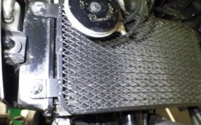 SUZUKI Vｽﾄﾛｰﾑ250A 2001