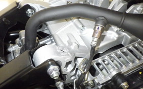 YAMAHA CYGNUSｸﾞﾘﾌｧｽ SEJ4J