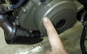 HUSQVARNA SVARTPILEN 401 2025